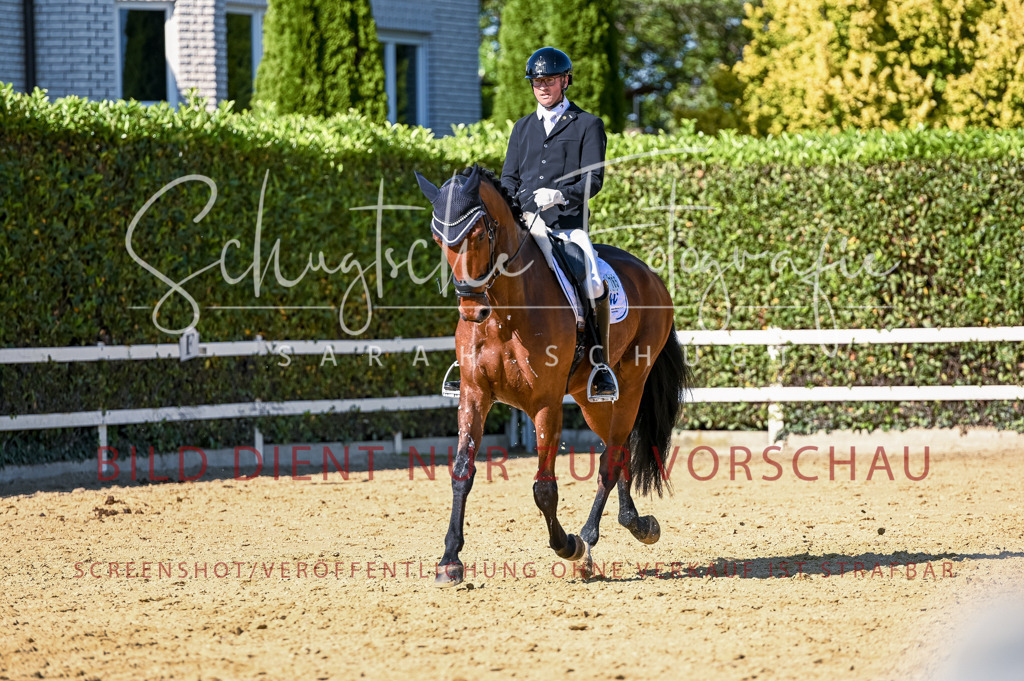 Schugtsche-Aluta25-50.Dressurpferdeprf.L-268 | Schugtsche Fotografie - Realisiert mit Pictrs.com