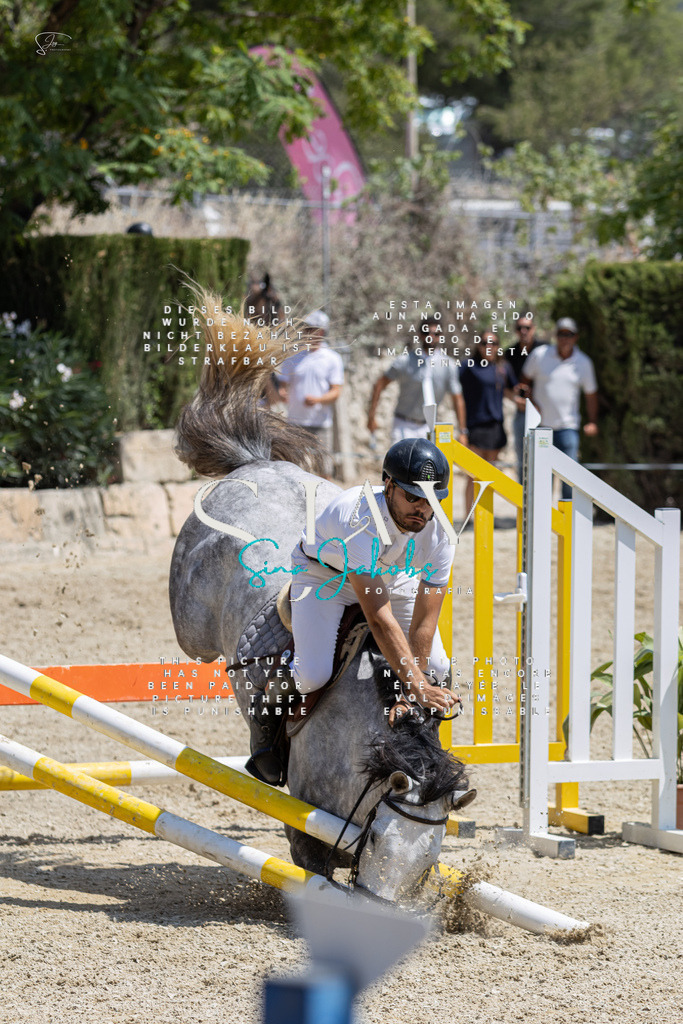 IMG_8041 | s-jay-photography - Realisiert mit Pictrs.com