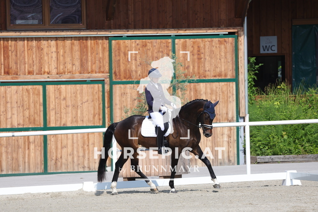 0P6A4659 | Willkommen bei Brunnmayr - Design & Fotografie – Ihrem Spezialisten für Reitturniere und Pferdeveranstaltungen in Oberösterreich, Salzburg und Bayern! Seit über 17 Jahren sind wir leidenschaftlich dabei.