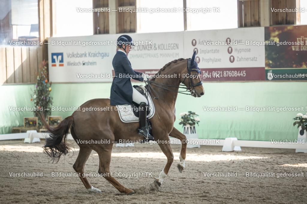 _D5A9644 | Emotionale Pferde- & People-Fotografie rund um Heidelberg, Leimen & Umgebung. Natürliche Fotos von Pferd, Mensch & Familie. Jetzt Termin sichern!