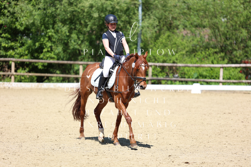 IMGS3230 | pl-fotografie