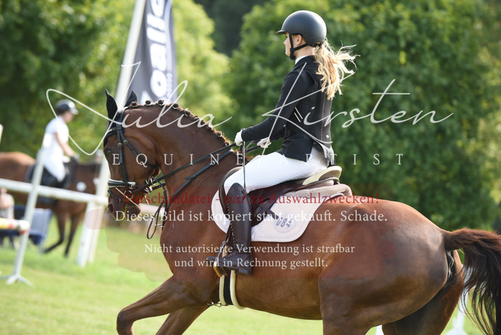 DSC_9170 | Pferde- und Turnierfotografie in Westsachsen. Pferdeportraits, Auftragszeichnungen und intuitive Kunst.