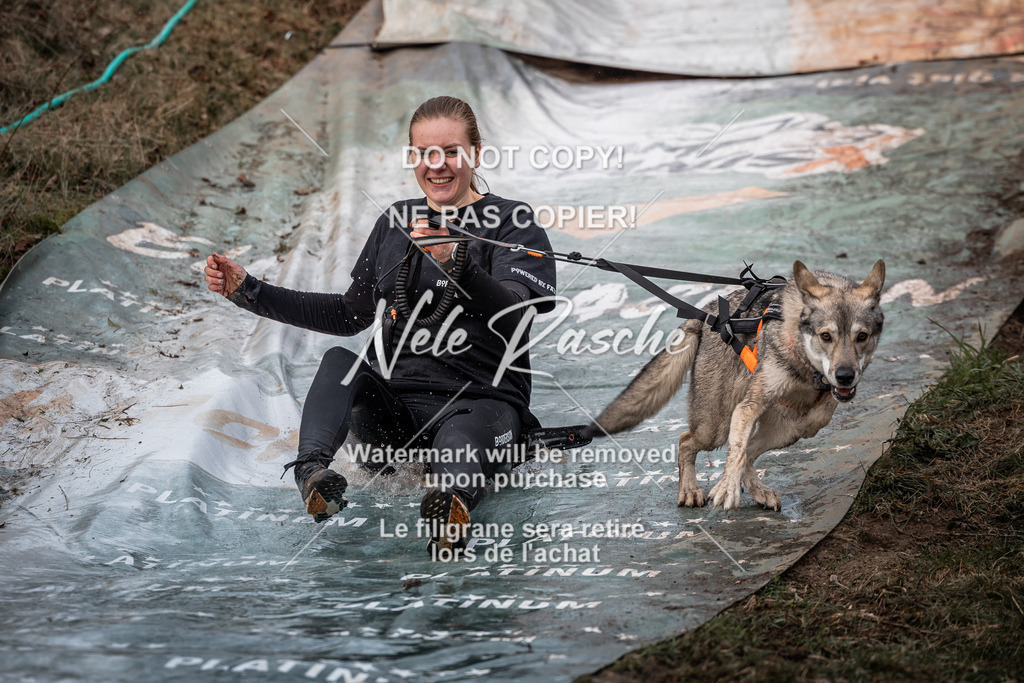 nelerasche_1330-1400_267 | nelerasche