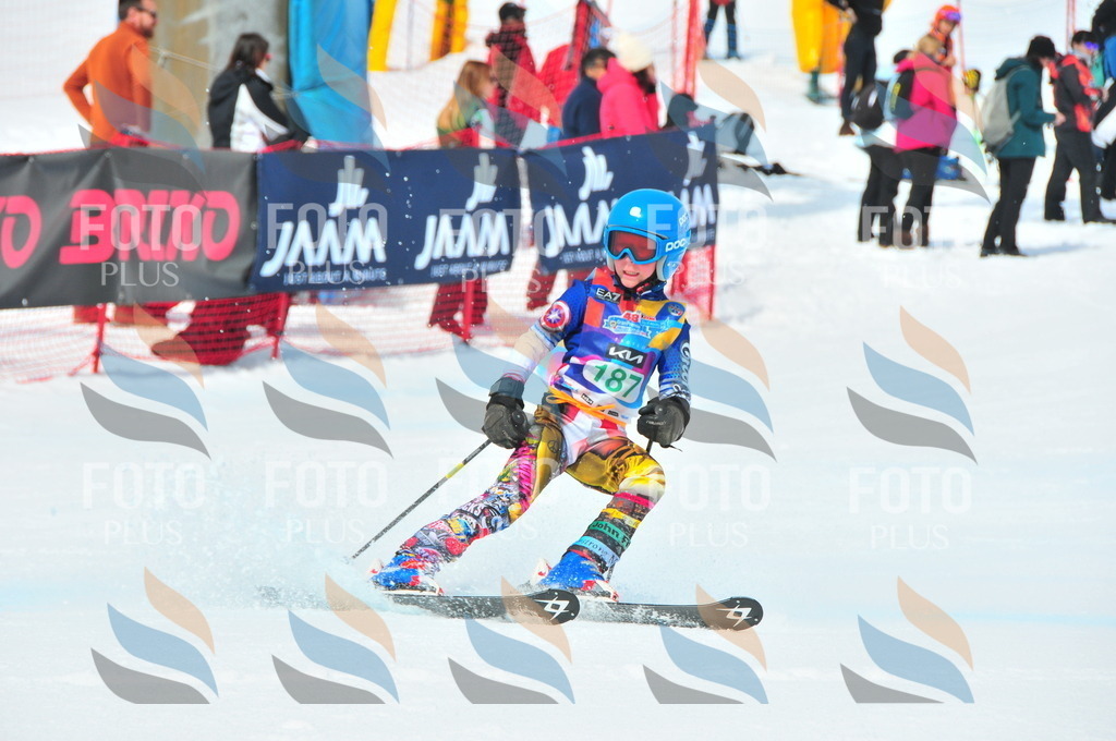 DSC_1711 | holidayphoto