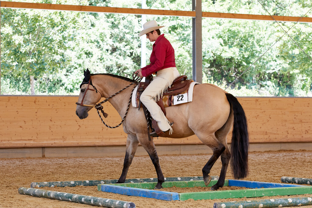 2020_07_19 Schweizersbild 112 | Peter Fridle Fotografie - Realisiert mit Pictrs.com