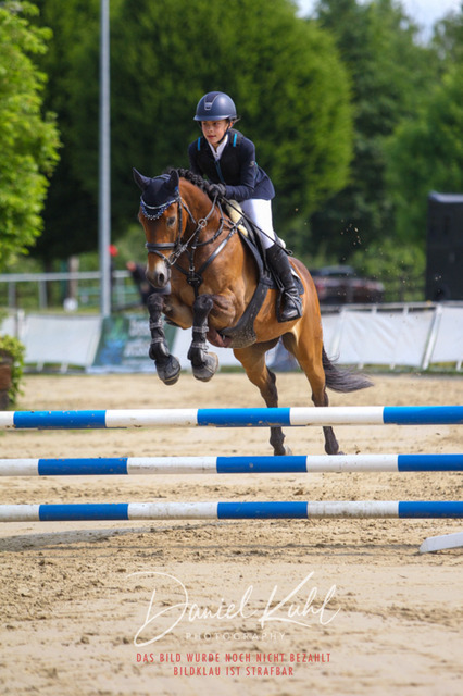 DKP41349 | Turniersportfotografie; Pferdefotografie; Dressurfotografie