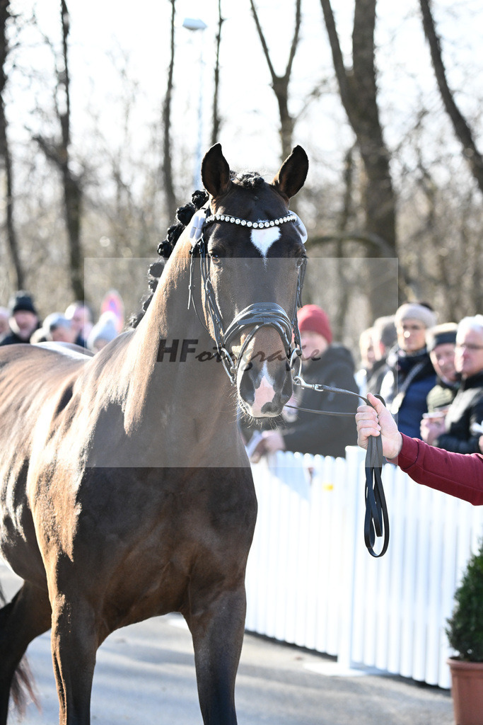 Impressionen Harter Boden_2240243 | hf-fotografie - Realisiert mit Pictrs.com