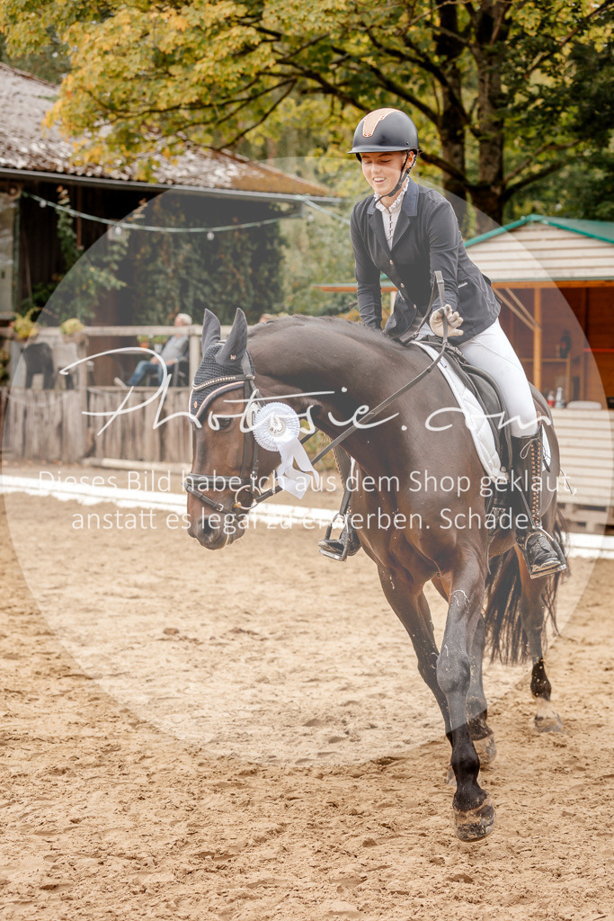 3I6A8002 | Stimmungsvolle Portraits und Reitsportfotografie im Ruhrgebiet und im Münsterland.

Pferdefotografie, Hundefotografie, Tierfotografie, Reportagen, Portraits von Tier und Mensch, Turnierfotografie in Bochum, Recklinghausen, Marl, Haltern am See, Dülmen.. - Realisiert mit Pictrs.com