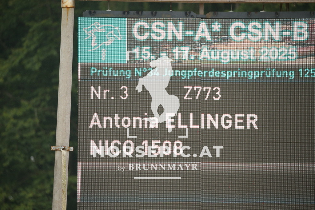 DL2Q6411 | Willkommen bei Brunnmayr - Design & Fotografie – Ihrem Spezialisten für Reitturniere und Pferdeveranstaltungen in Oberösterreich, Salzburg und Bayern! Seit über 17 Jahren sind wir leidenschaftlich dabei.