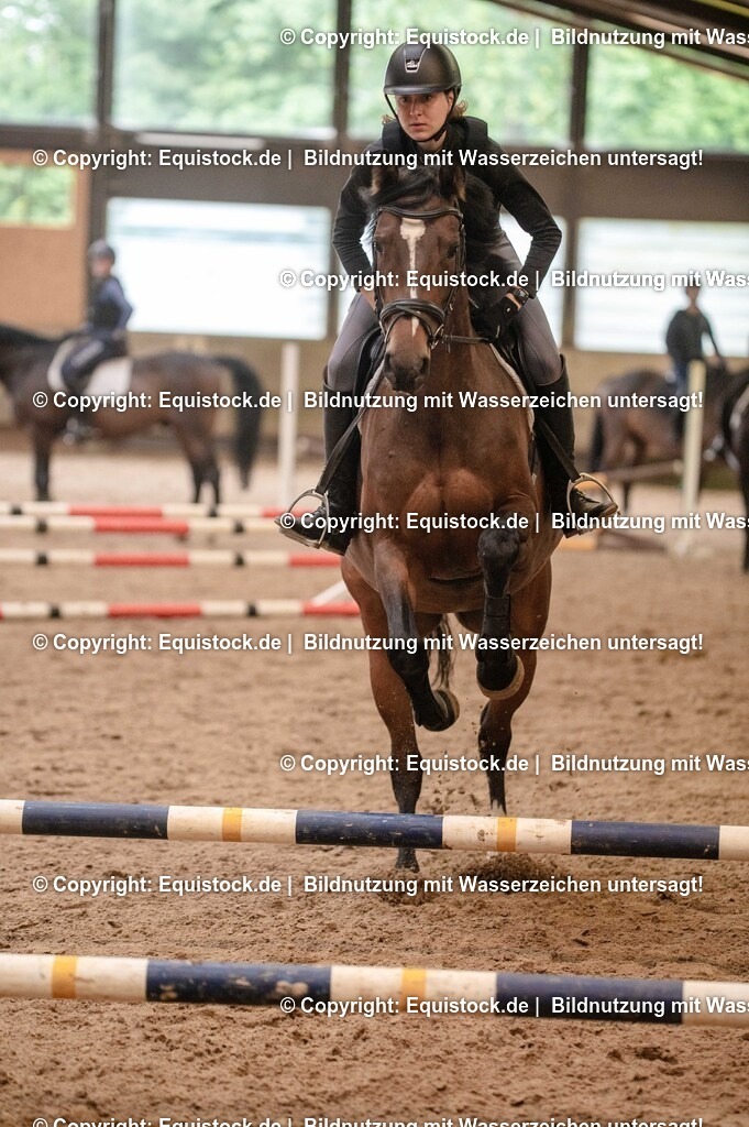 20250725_Vielseitigkeitslehrgang-Marbach_0669 | Foto: Thomas Hartig