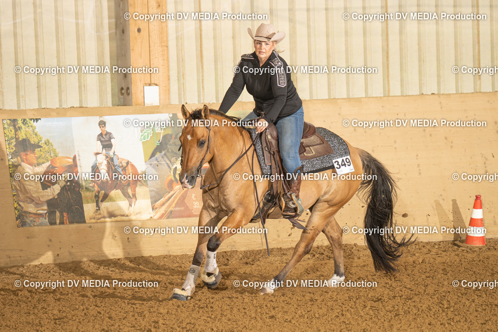 LAU00452 | dv-media-shop - Realisiert mit Pictrs.com