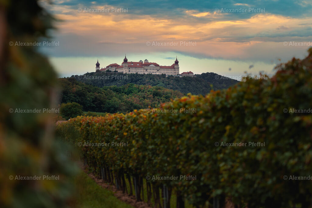 foto_c_pfeffel-partner-0028-R5_12399-Bearbeitet | alexander-pfeffel - Realisiert mit Pictrs.com