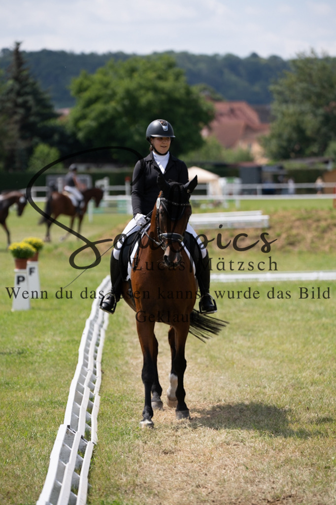 A7V09927 | Pferdefotograf