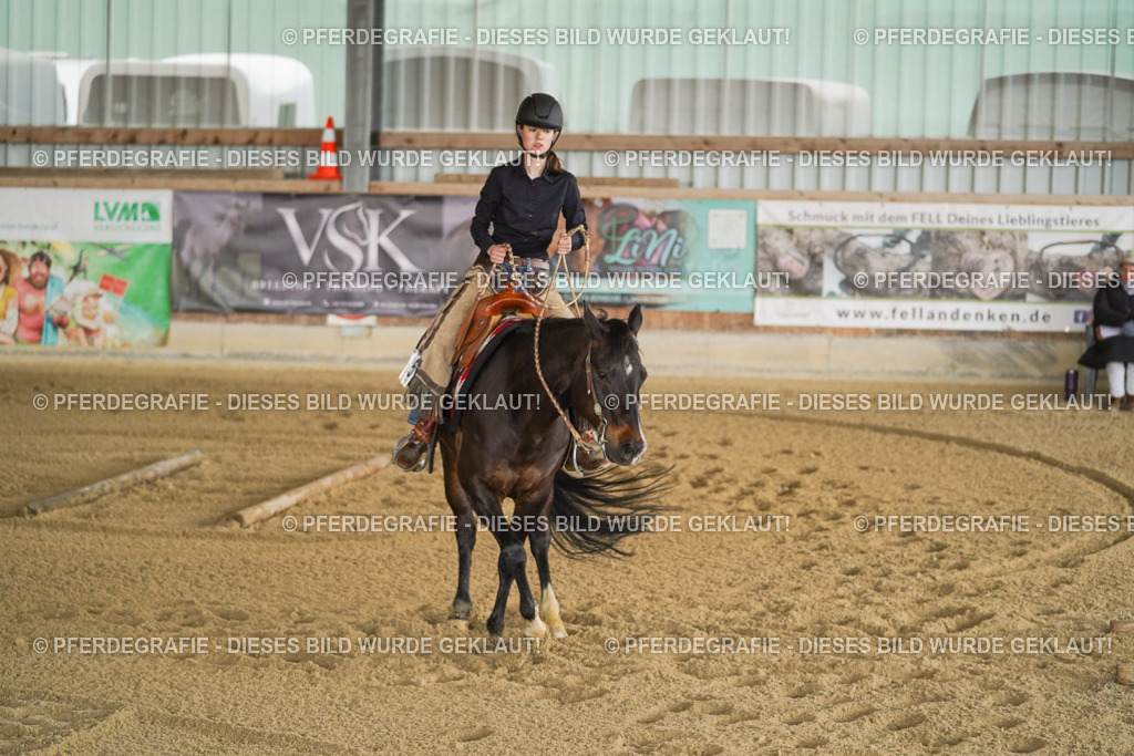 DSC06264 | Pferdegrafie