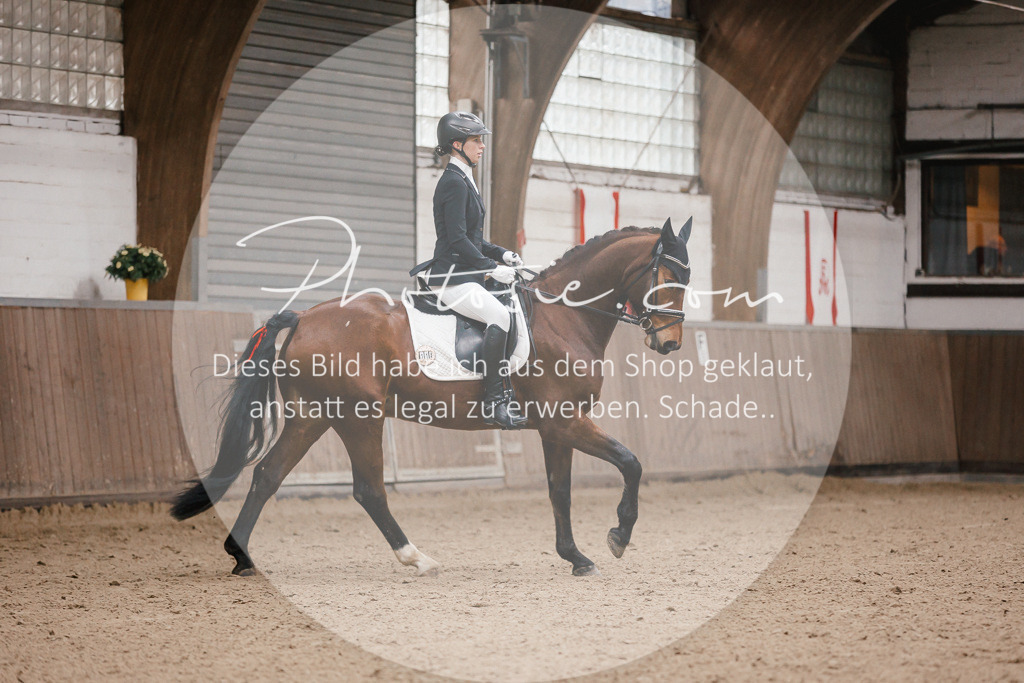 3I6A6564 | Stimmungsvolle Portraits und Reitsportfotografie im Ruhrgebiet und im Münsterland.

Pferdefotografie, Hundefotografie, Tierfotografie, Reportagen, Portraits von Tier und Mensch, Turnierfotografie in Bochum, Recklinghausen, Marl, Haltern am See, Dülmen.. - Realisiert mit Pictrs.com