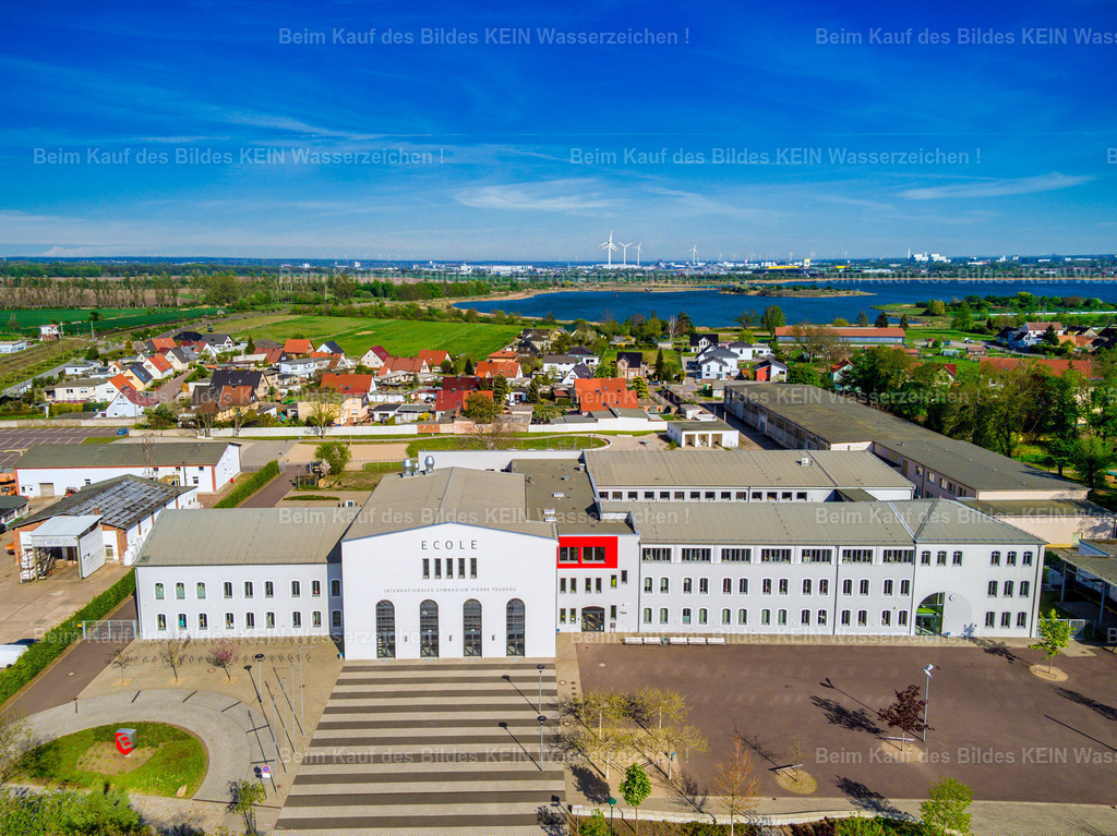 Ecole Gymnasium Barleben-0014 | Ecole Gymnasium Barleben International - Realizado com Pictrs.com