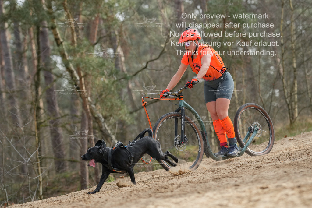 Scooter2-28 | stephaniefillaphotographie - Realisiert mit Pictrs.com