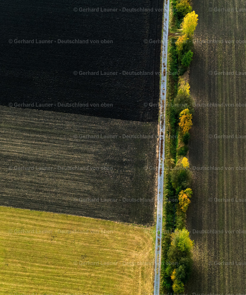 9300143 | herbstliche Baum-Feldstrukturen bei Gerolzhofen