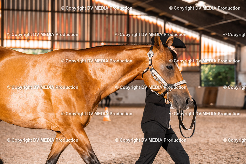 ZH100162 | dv-media-shop - Realisiert mit Pictrs.com