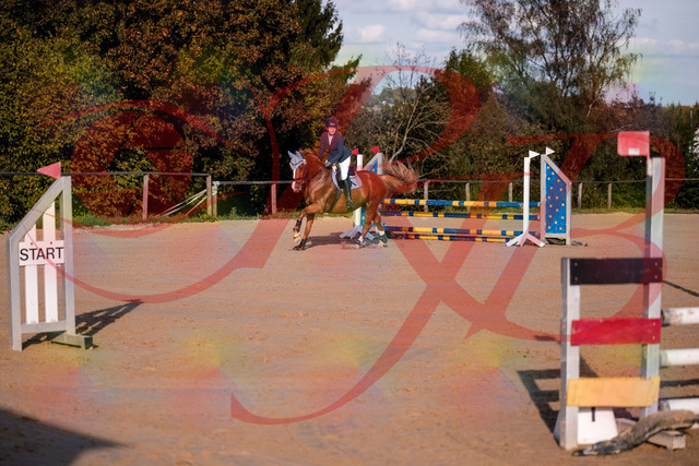 2026_10_03_Siefer-Hof_171224_Z81_09638102 | Professionelle Reitsport-, Turnier- und Eventfotografie von Robert Broda. Galerien mit ausgewählten und bearbeiteten Bildern direkt online ansehen und bestellen.