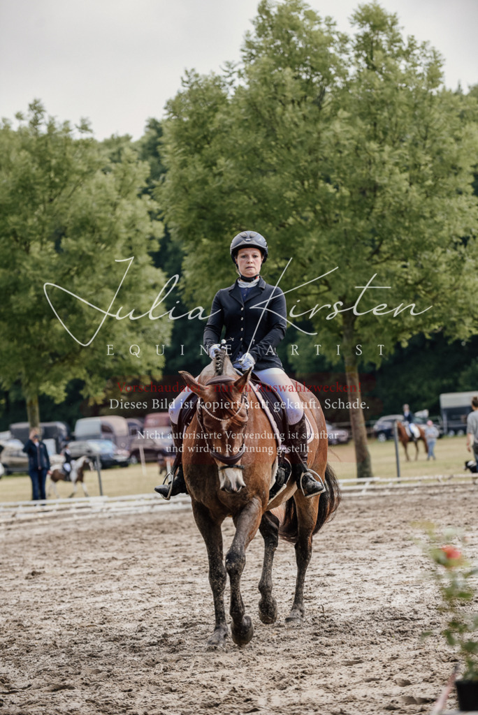 DSC_9260 | Pferde- und Turnierfotografie in Westsachsen. Pferdeportraits, Auftragszeichnungen und intuitive Kunst.