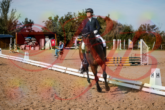 2026_10_03_Siefer-Hof_123050_Z63_51977453 | Professionelle Reitsport-, Turnier- und Eventfotografie von Robert Broda. Galerien mit ausgewählten und bearbeiteten Bildern direkt online ansehen und bestellen.