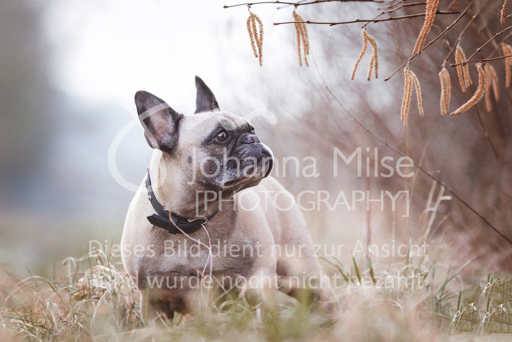 180218_Joana_Emma-3cc | Verkauf nur auf Anfrage