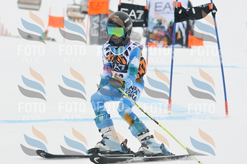 DSC_7811 | holidayphoto