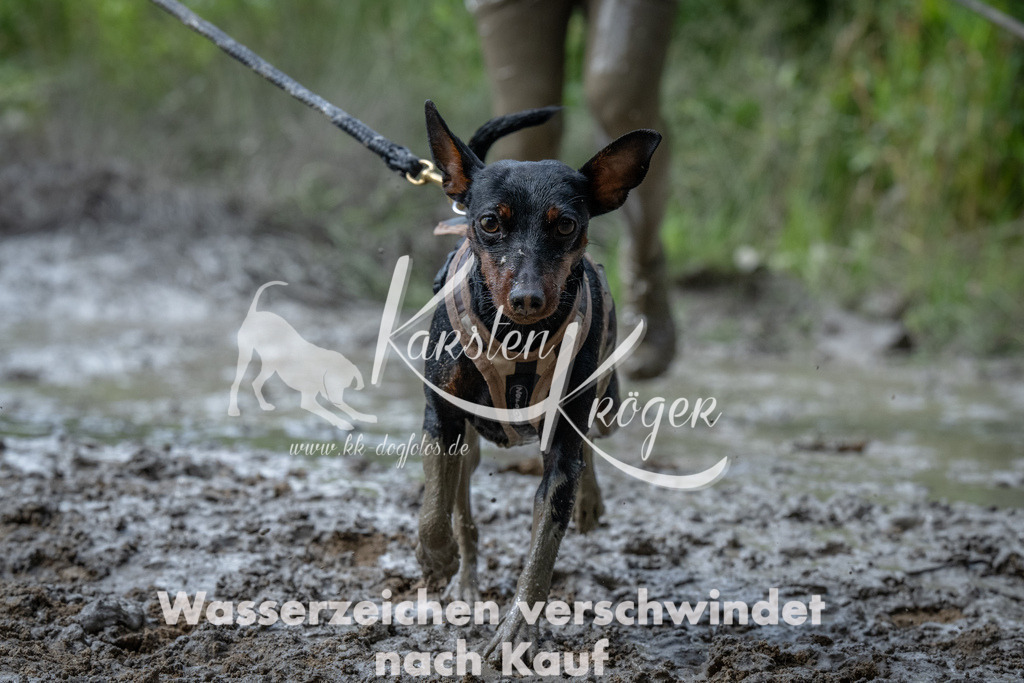 1057_ZZ90577 | kk-dogfotos