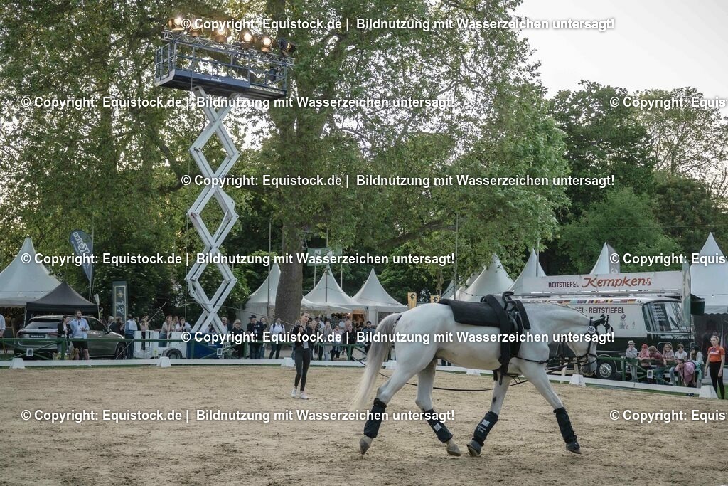 ZFC_4161 | equistock