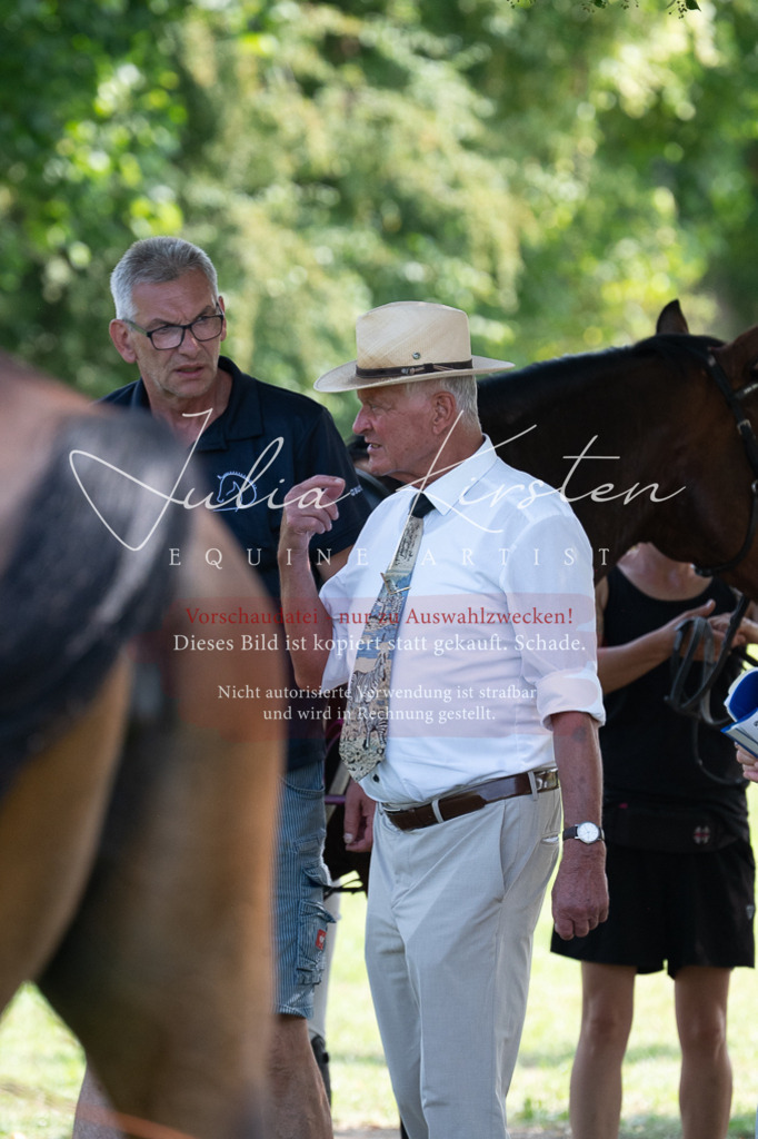 DSC_0606 | Pferde- und Turnierfotografie in Westsachsen. Pferdeportraits, Auftragszeichnungen und intuitive Kunst.