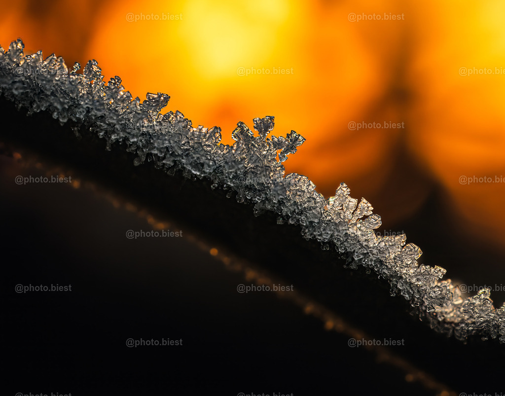 Der Eisast | Ein Ast voller Eiskristalle. Im Hintergrund geht die Wintersonne unter. - Realisiert mit Pictrs.com
