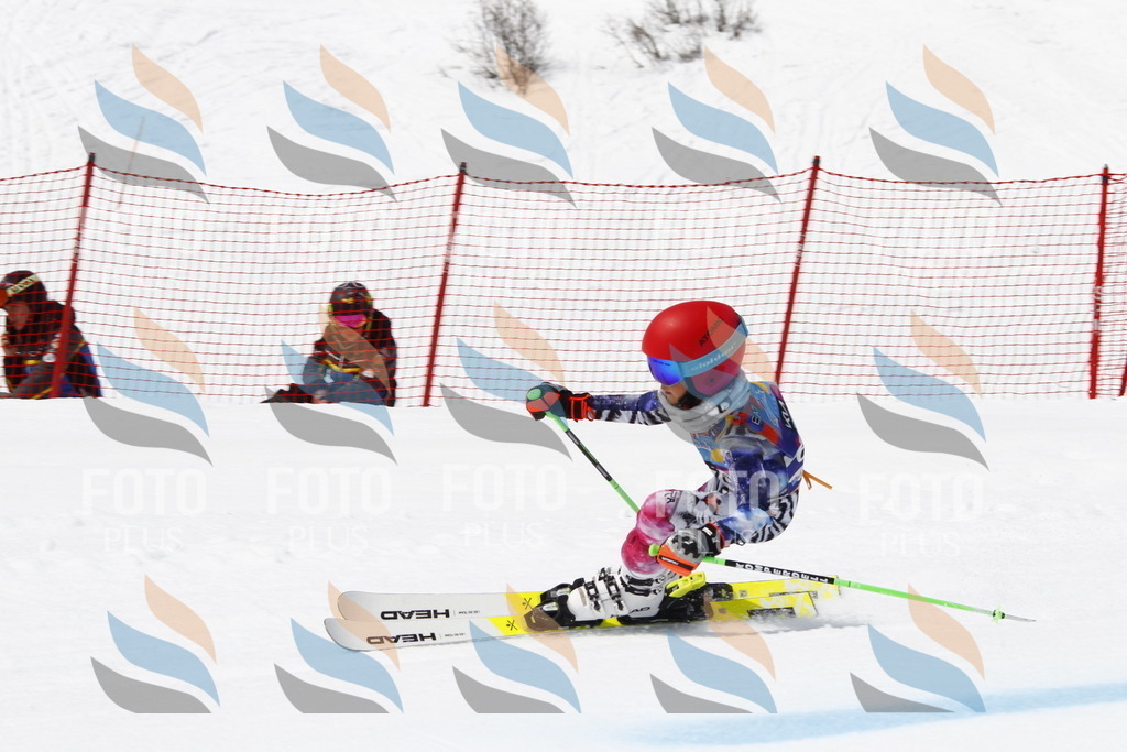 _U3G7003 | holidayphoto