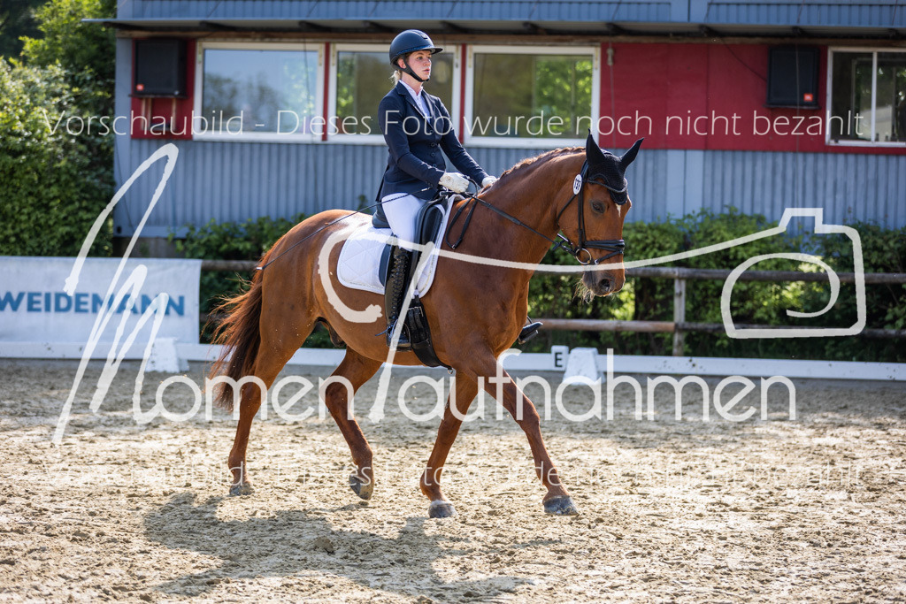 Donop24-A2-Dre-030 | MomenTaufnahmen Pferdesportfotos