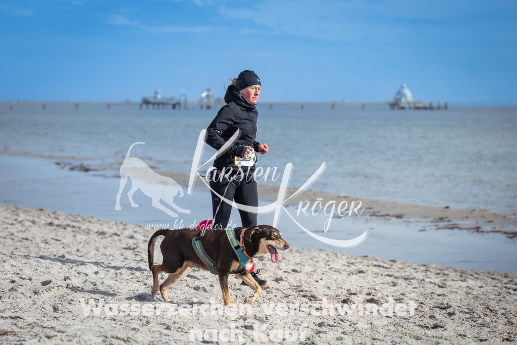 1245_ZZ98404 | kk-dogfotos