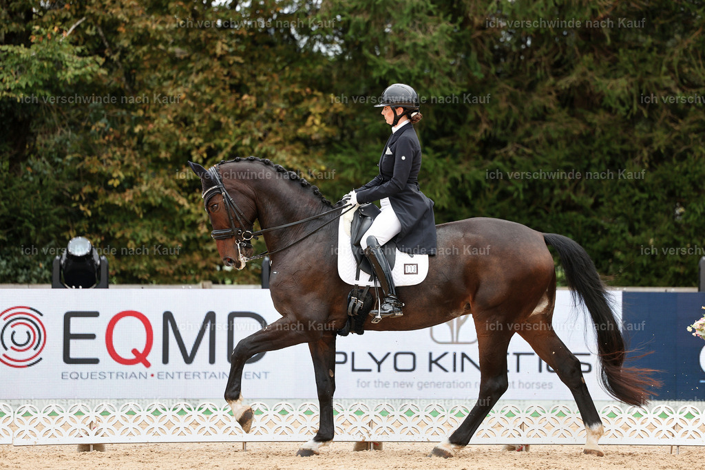 6-113-AMATUER-DRESSUR S_  -StoibPH-3612 | working equitationturnier fotograf videograf stoibphotography marixx film working equitation deutschland reitsport turnierfotografie eventfotografie equestrian events