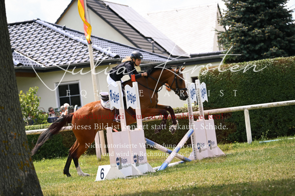 DSC_9290 | Pferde- und Turnierfotografie in Westsachsen. Pferdeportraits, Auftragszeichnungen und intuitive Kunst.