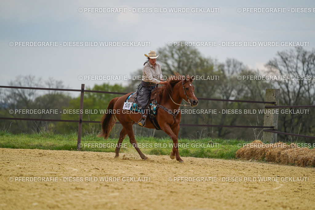 DSC07262 | Pferdegrafie