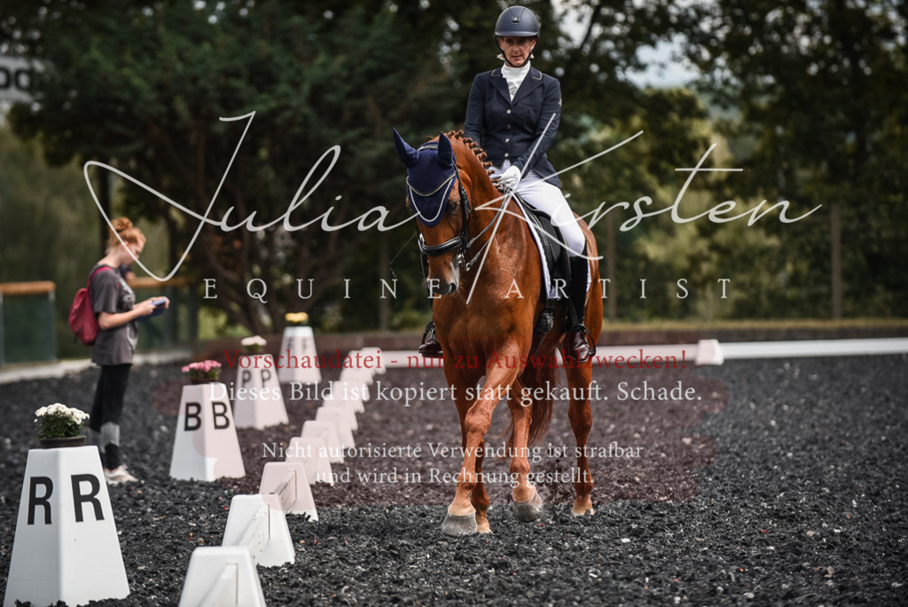 DSC_5030 | Pferde- und Turnierfotografie in Westsachsen. Pferdeportraits, Auftragszeichnungen und intuitive Kunst.