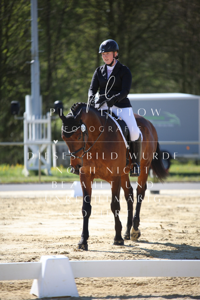 IMGT9502 | pl-fotografie