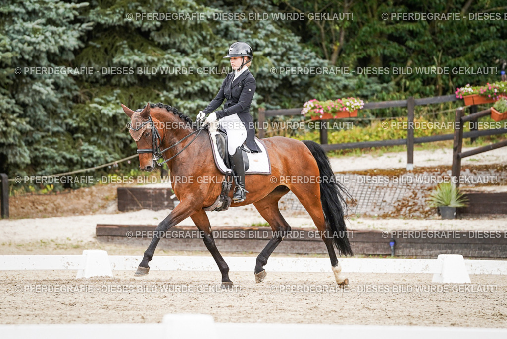 DSC05503 | Pferdegrafie