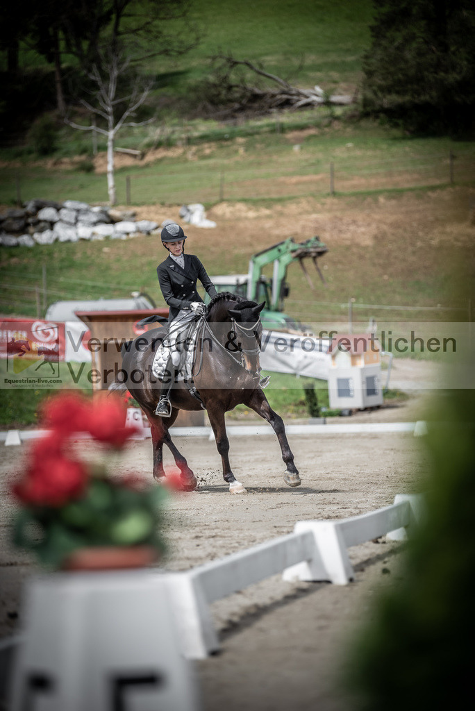 DSC_2235 | equestrian-live-com