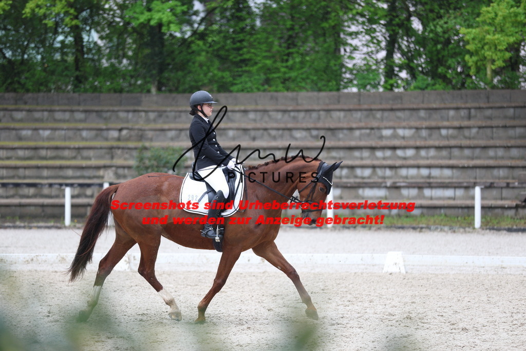 A40A8658 | lmwpictures - Realisiert mit Pictrs.com