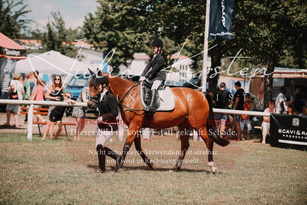 DSC_6093 | Pferde- und Turnierfotografie in Westsachsen. Pferdeportraits, Auftragszeichnungen und intuitive Kunst.