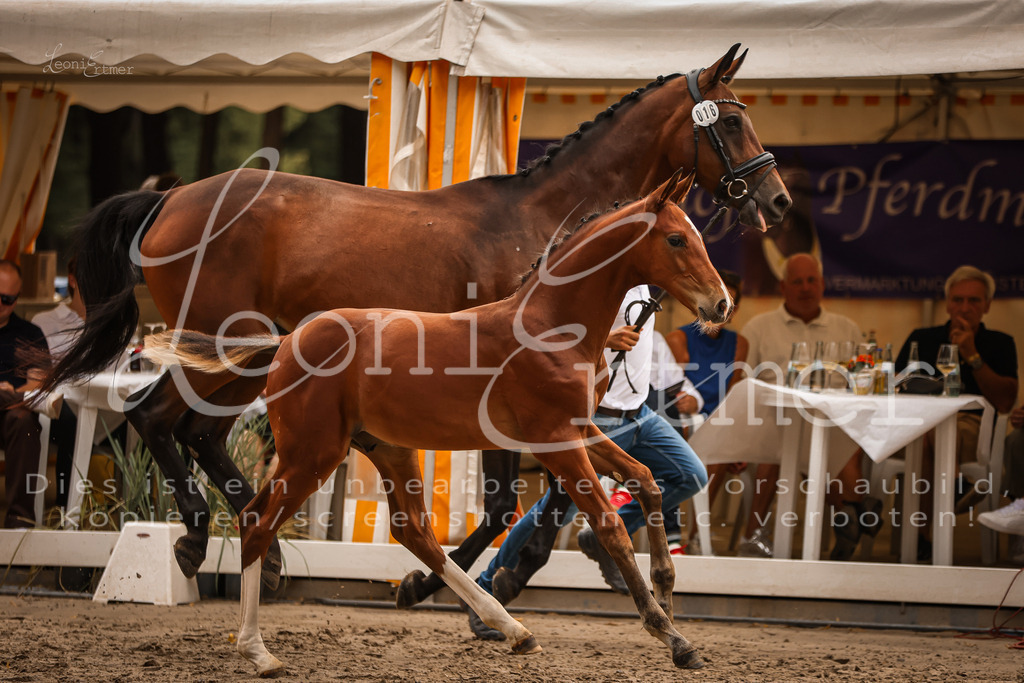 SaPA00226 | Leoni Ertmer Photography - Realisiert mit Pictrs.com