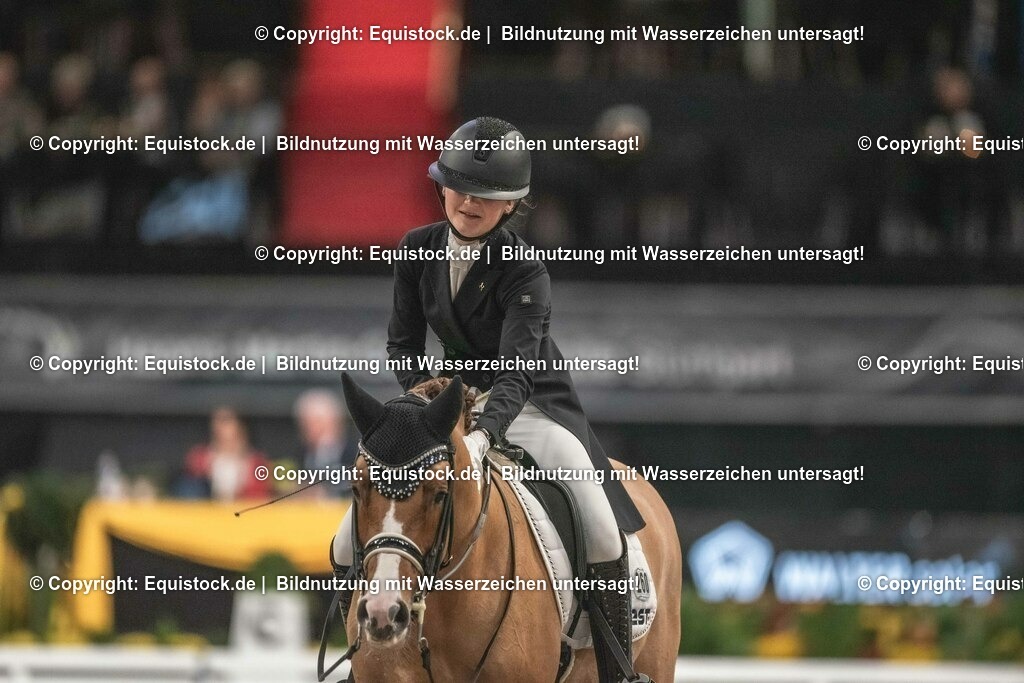 20231115_20_Dressur_Kl-S++_0581_TOMsPiC | Foto: Thomas Hartig