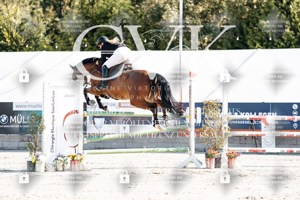 CK901631 | Turnierfotografie Pferdefotografie Trier Rheinland-Pfalz Pferdesport Reitsport Tierfotografie Sportfotografie Pferdevideo Pferdevideografie Equestrianvideography equestrianphotography  - Realisiert mit Pictrs.com