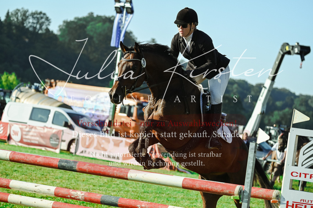 DSC_4373 | Pferde- und Turnierfotografie in Westsachsen. Pferdeportraits, Auftragszeichnungen und intuitive Kunst.
