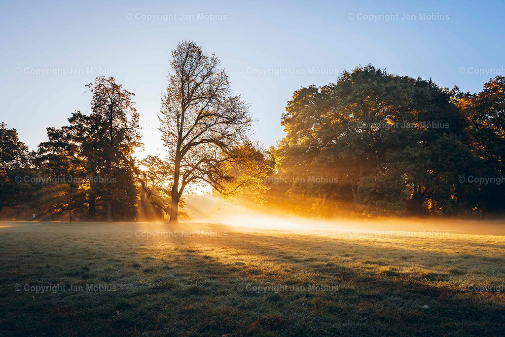 Clara Park | Der Clara-Zetkin-Park in Leipzig ist ein beliebter Ort für Natur, Sport und Erholung – perfekt für Spaziergänge, Jogging und entspannte Stunden im Grünen. - Realisiert mit Pictrs.com
