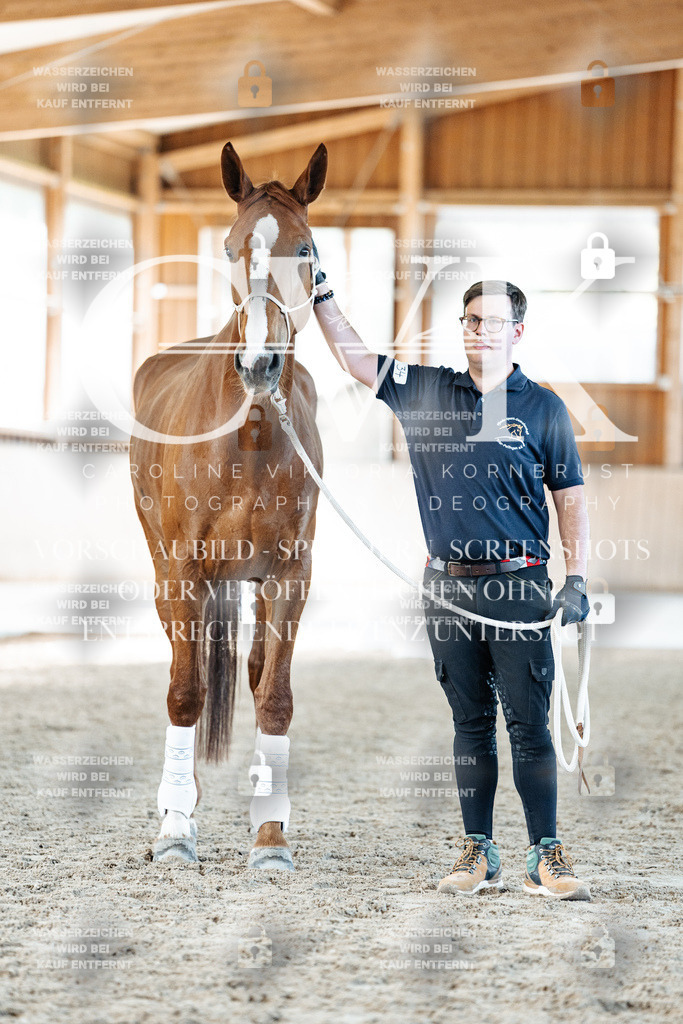 CK906688 | Turnierfotografie Pferdefotografie Trier Rheinland-Pfalz Pferdesport Reitsport Tierfotografie Sportfotografie Pferdevideo Pferdevideografie Equestrianvideography equestrianphotography  - Realisiert mit Pictrs.com